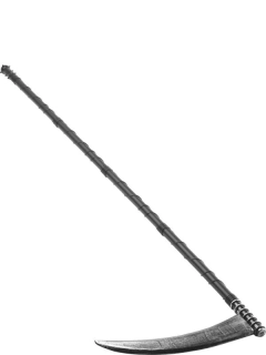 Kosa