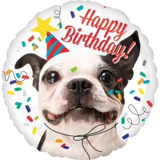 Balónek Happy Birthday pes